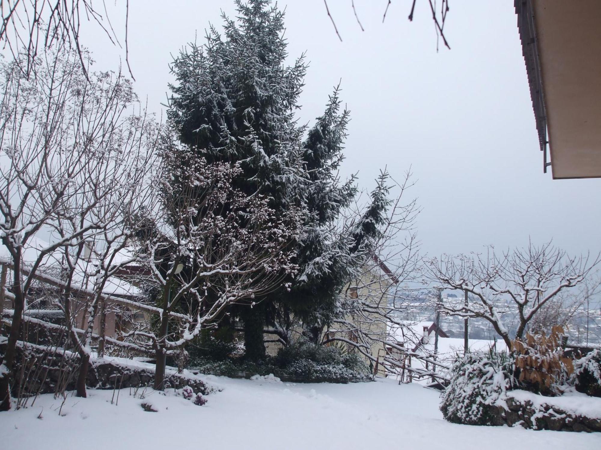 Agriturismo Nonno Tobia Аджерола Екстериор снимка