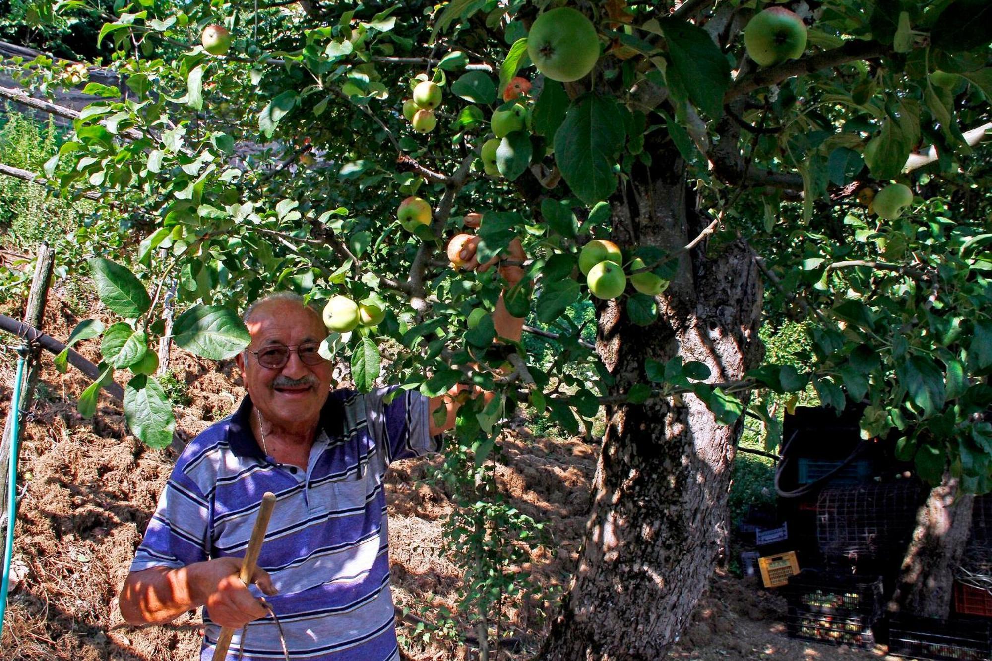 Agriturismo Nonno Tobia Аджерола Екстериор снимка