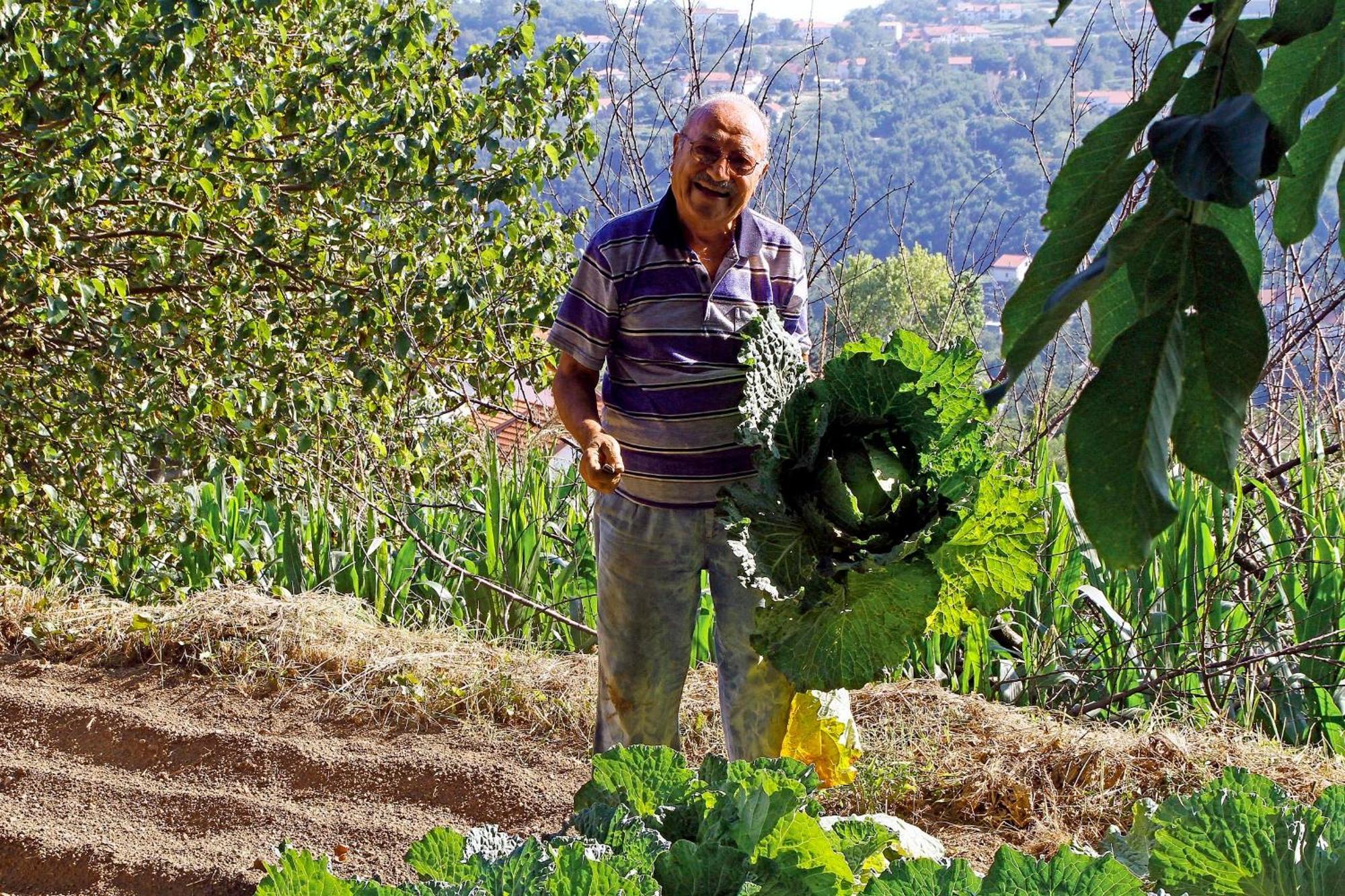 Agriturismo Nonno Tobia Аджерола Екстериор снимка