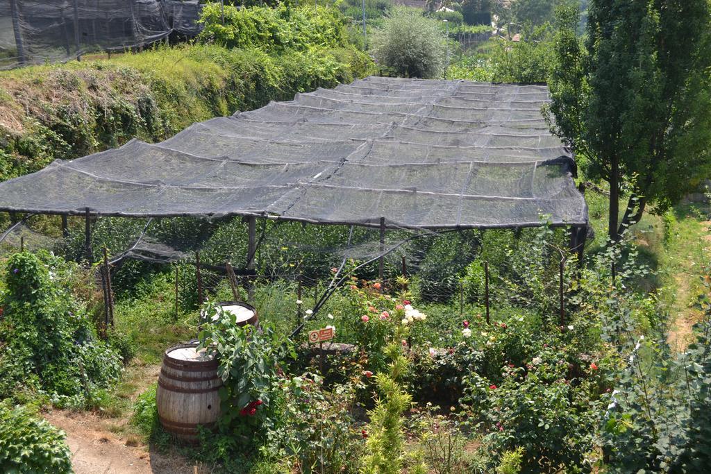 Agriturismo Nonno Tobia Аджерола Екстериор снимка