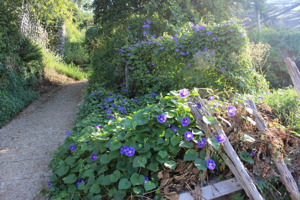 Agriturismo Nonno Tobia Аджерола Екстериор снимка
