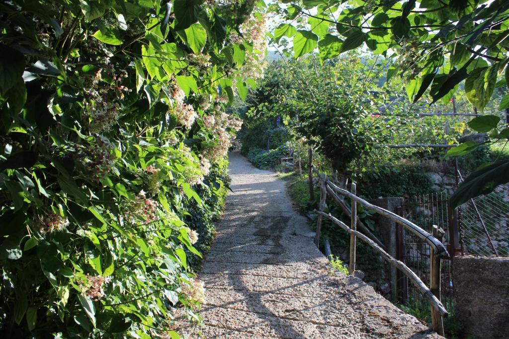 Agriturismo Nonno Tobia Аджерола Екстериор снимка