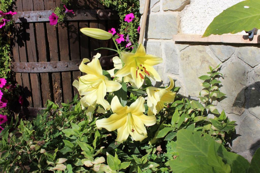 Agriturismo Nonno Tobia Аджерола Екстериор снимка